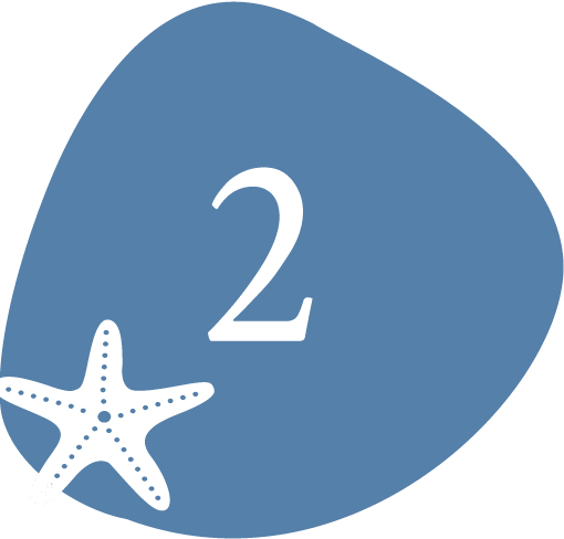 Step 2 Icon